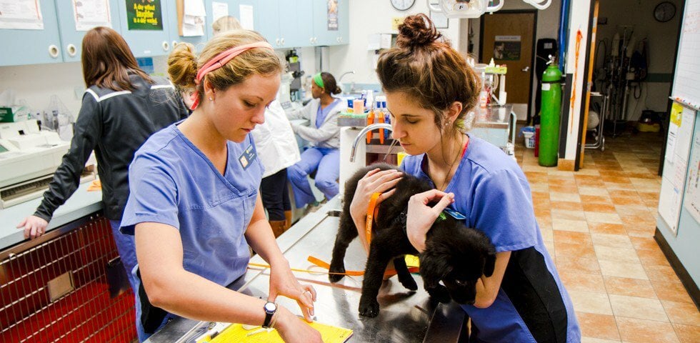 20 Companies With Seriously Inspiring Missions