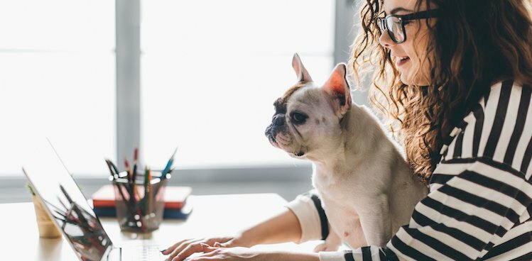 So You Want to Write an Attention-Grabbing About Me Page