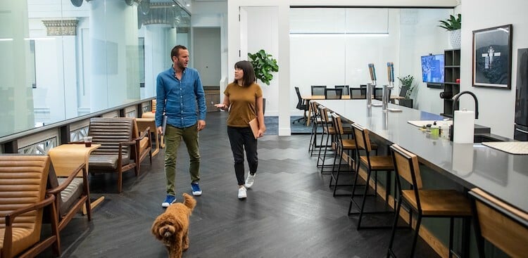 12 More Awesome Companies Hiring on The Muse Right Now