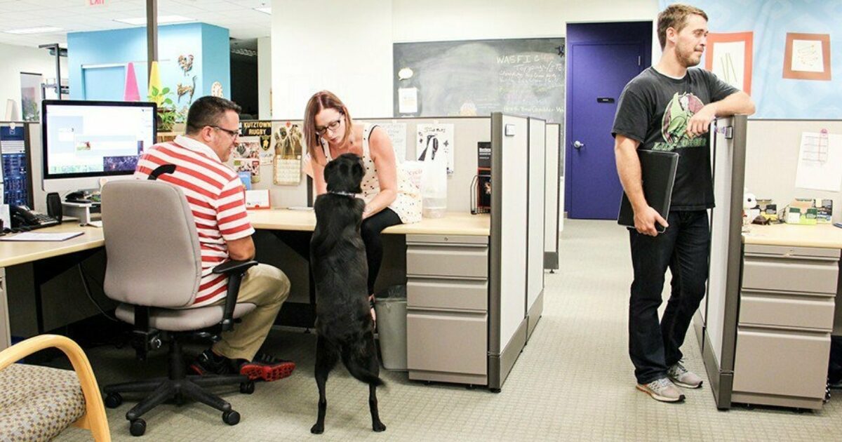 7 Awesome Companies Hiring in Philadelphia The Muse