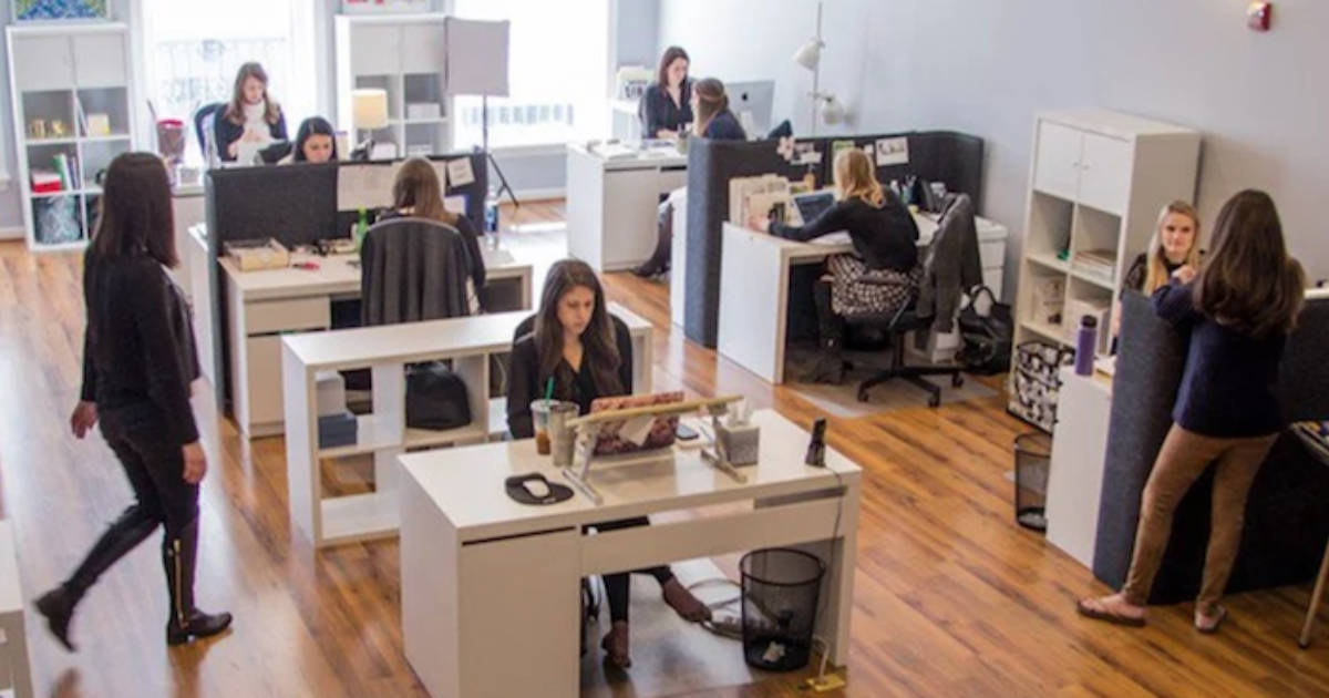 8 Companies That Are Hiring Right Now in Washington, DC The Muse