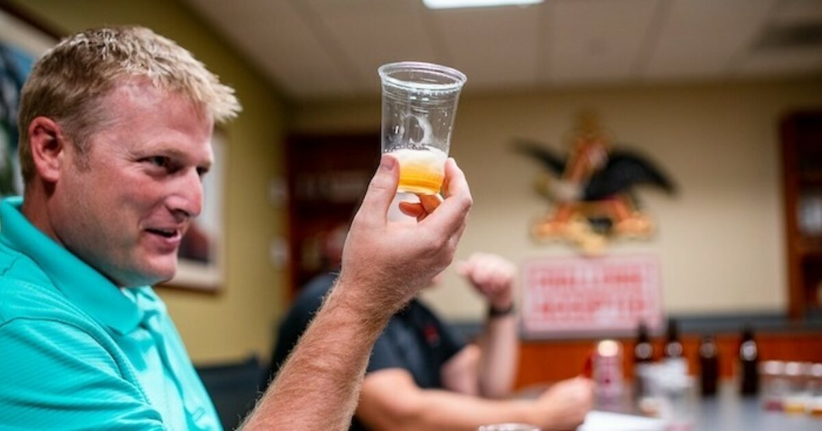 How to Make Beer Tasting Your Job The Muse