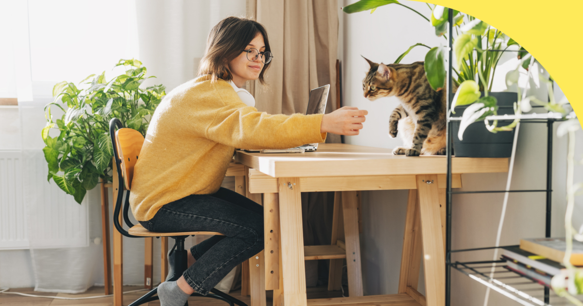 Best Remote Tech Jobs To Consider In 2024 The Muse